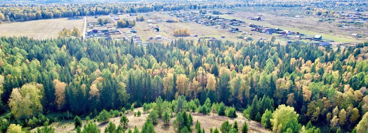 земля р-н Емельяновский с/с Элитовский сельсовет, ул. Живописная фото 8