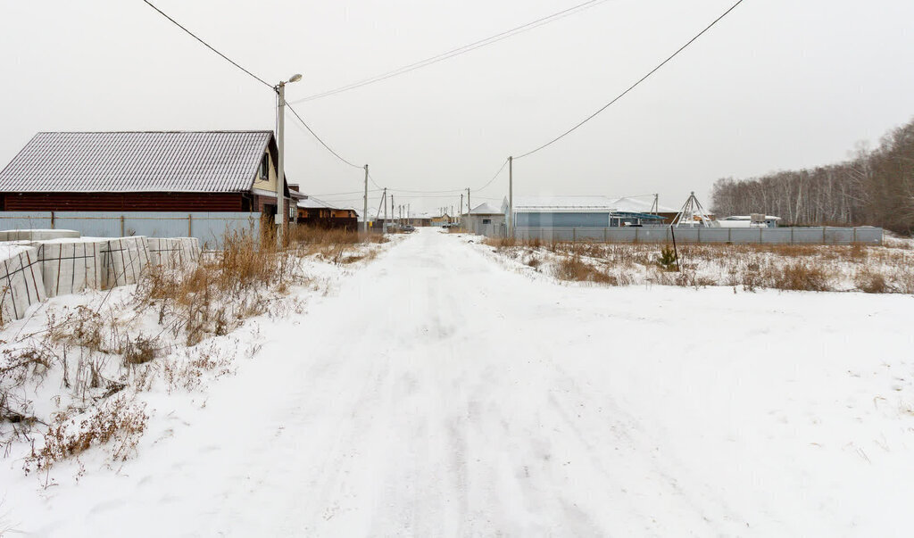 земля р-н Тюменский с Луговое фото 2