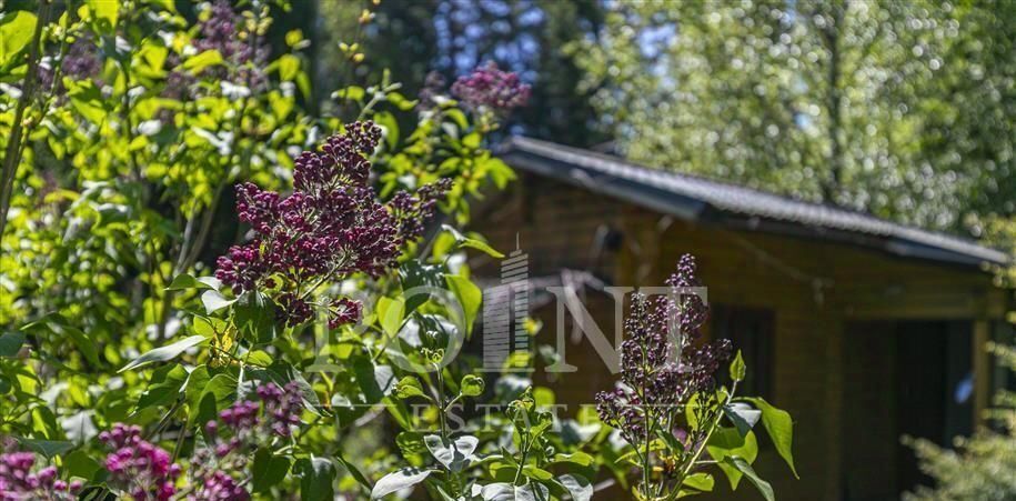 дом городской округ Одинцовский д Таганьково Толстопальцево фото 35