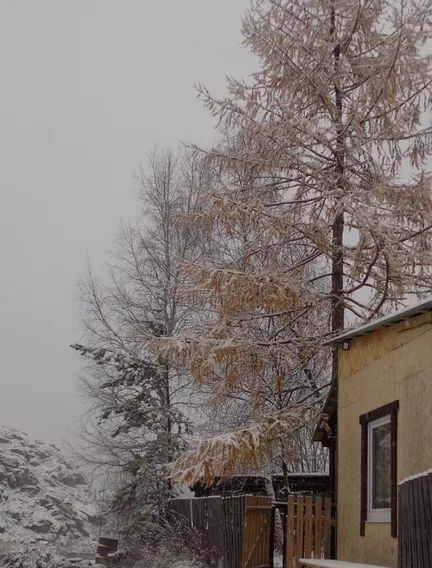 дом г Лысьва с Кын ул Мира 49 фото 3