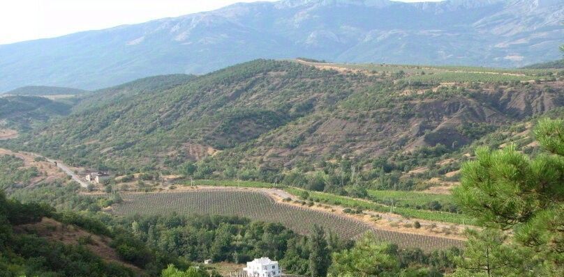 дом г Алушта с Солнечногорское ул Молодежная фото 20