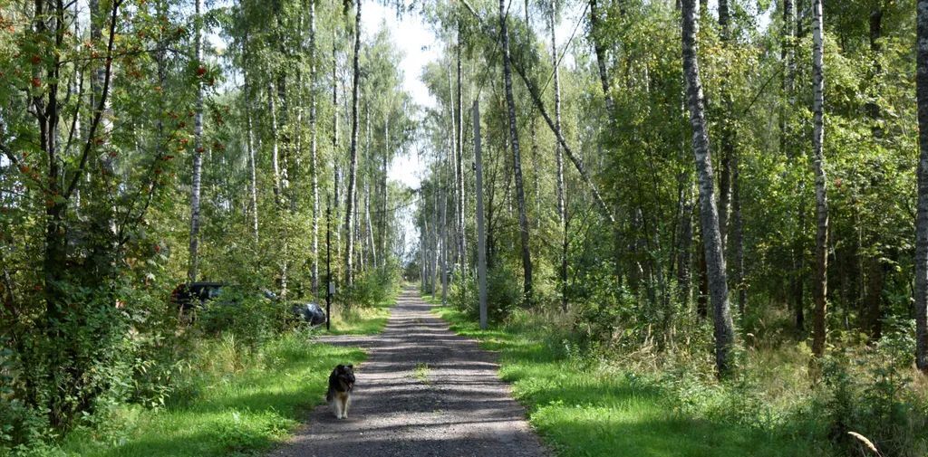 дом городской округ Раменский Гжельское территориальное управление фото 4