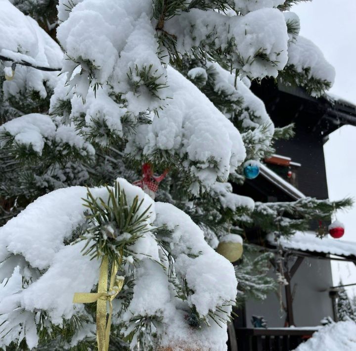 дом городской округ Дмитровский д Курово 42А фото 13