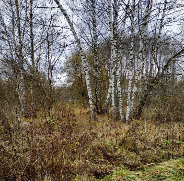 земля г Наро-Фоминск тер Тихая речка Наро-Фоминский городской округ фото 14