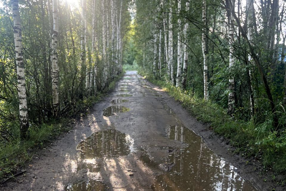 земля р-н Конаковский д Осиновка ул Казанская 12 фото 3