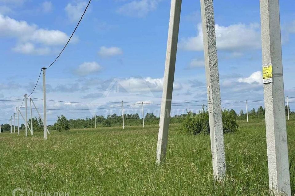 земля г Тюмень Тюмень городской округ, СОСН Зелёный бор фото 2