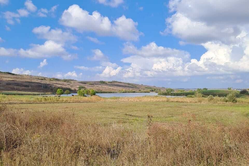 земля р-н Анапский г Анапа Анапа городской округ, СОТ Мечта фото 7