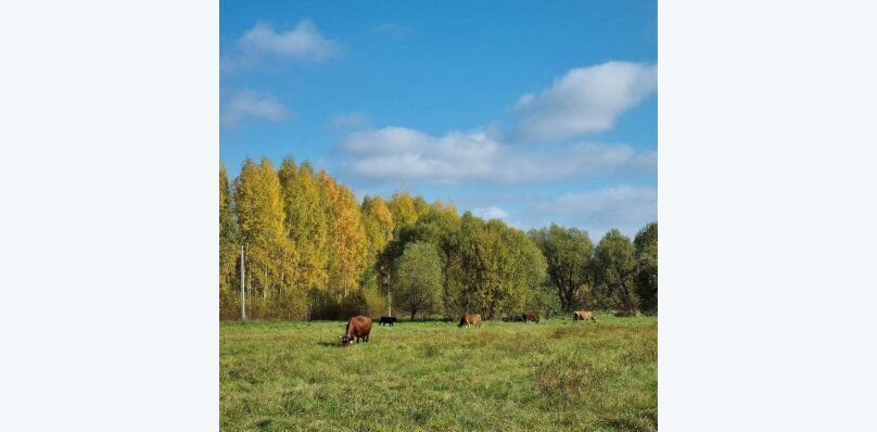 дом р-н Конаковский д Старое Мелково ул Лесная 3 фото 31