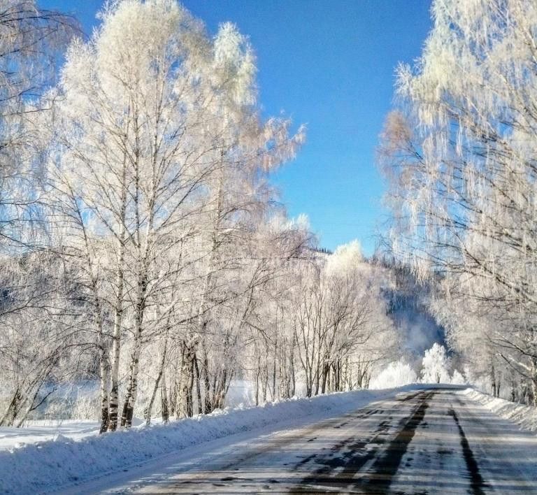 земля г Ковров ул Железнодорожная фото 1