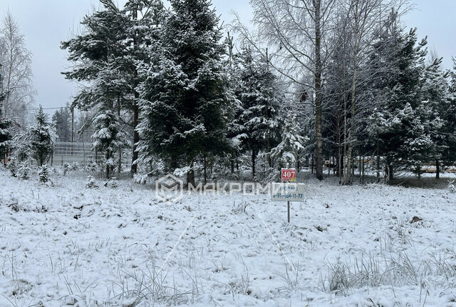 Рощинское городское поселение, СНТ Лебяжье фото