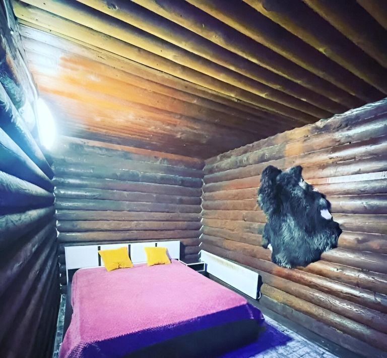 дом г Абакан ул Королева 15 фото 16