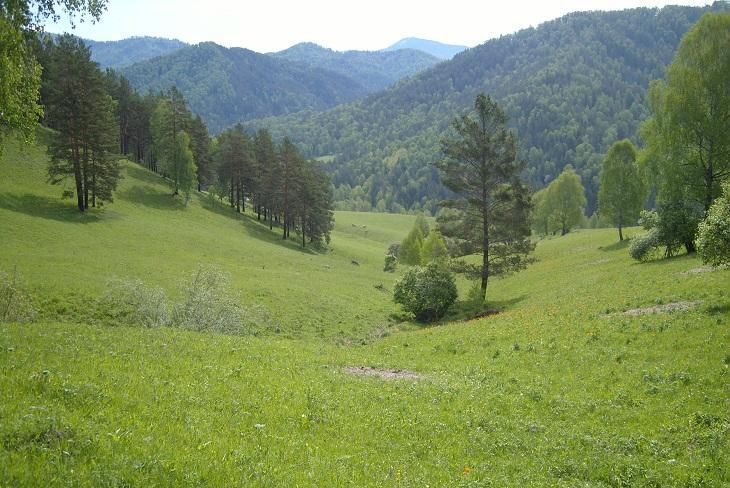 земля р-н Алагирский г Алагир Республика Северная Осетия — Алагирский р-н, Фиагдонское сельское поселение фото 1