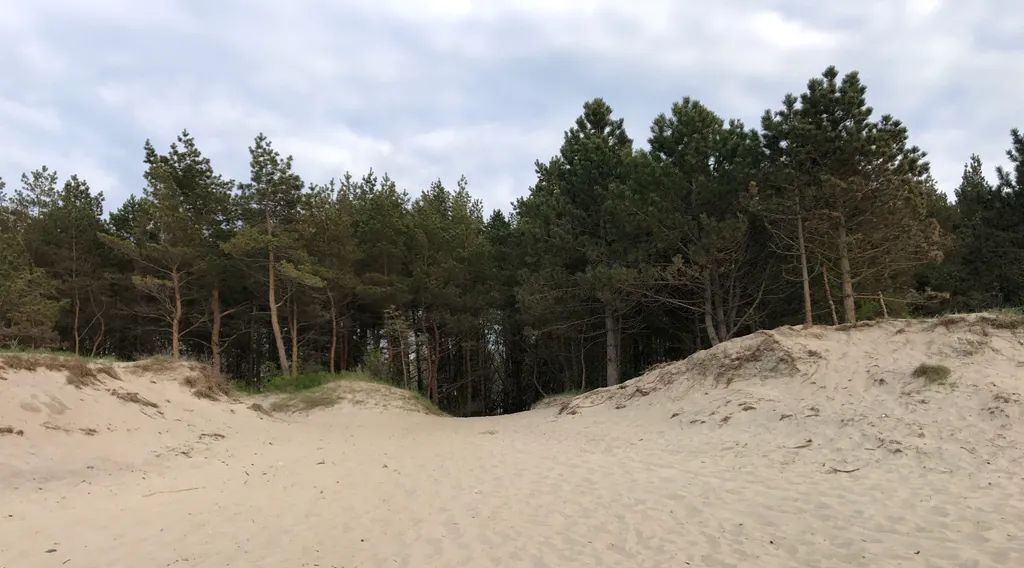 дом р-н Зеленоградский г Зеленоградск п Прибой садоводческое товарищество, ул. Санаторная, 2А фото 50