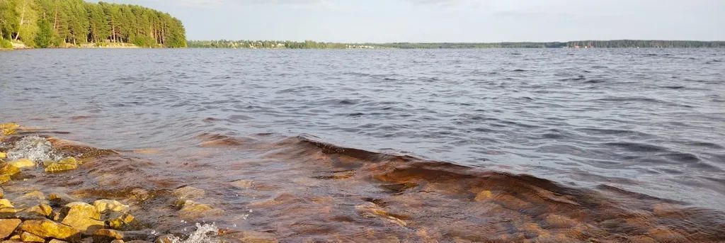 дом р-н Селижаровский нп Турбаза "Чайка" ул Лесная 14 фото 20