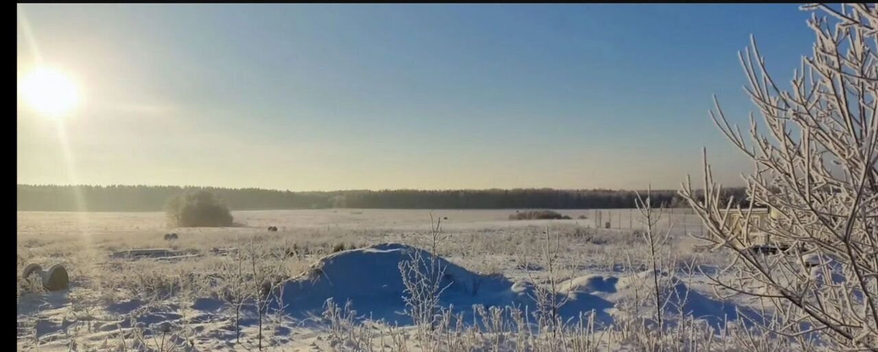 земля р-н Тосненский д Шумба Московское шоссе, 38 км, Форносовское городское поселение, Форносово фото 1