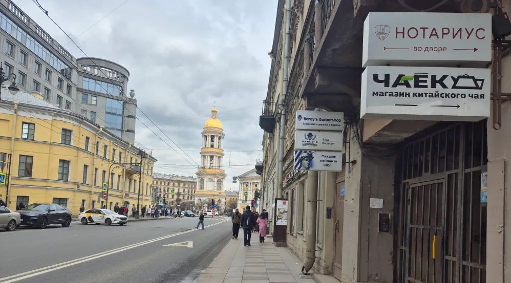 квартира г Санкт-Петербург метро Владимирская пр-кт Загородный 4 фото 6