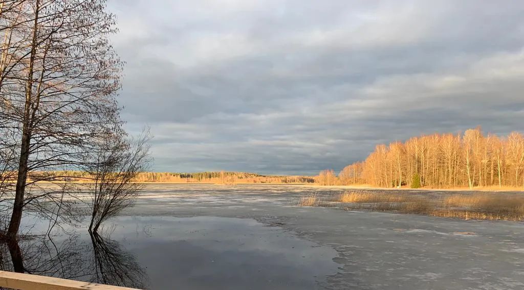 дом р-н Выборгский п Пальцево ул Краснохолмская 1а Гончаровское с/пос фото 28