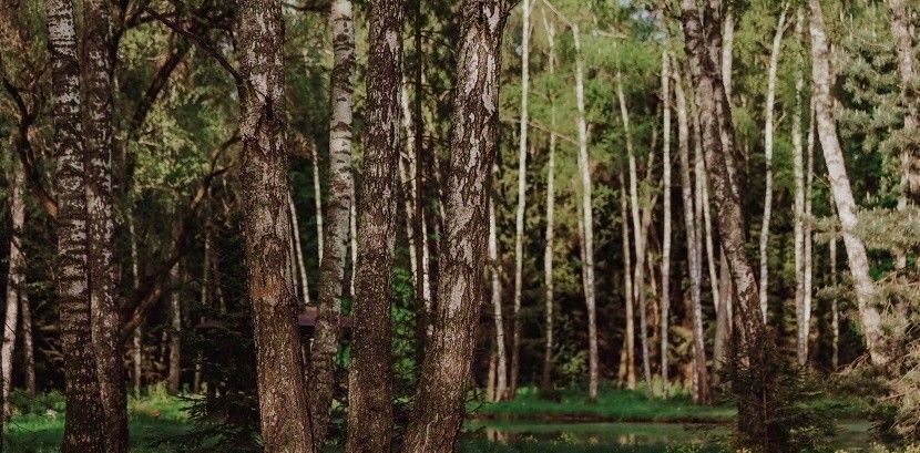 земля городской округ Ступино с Мышенское фото 6