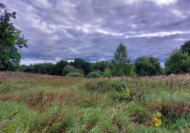 земля д Сож Смоленск фото