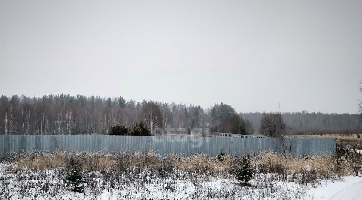 земля р-н Муромский д Михайлово ул Центральная Муром фото 3