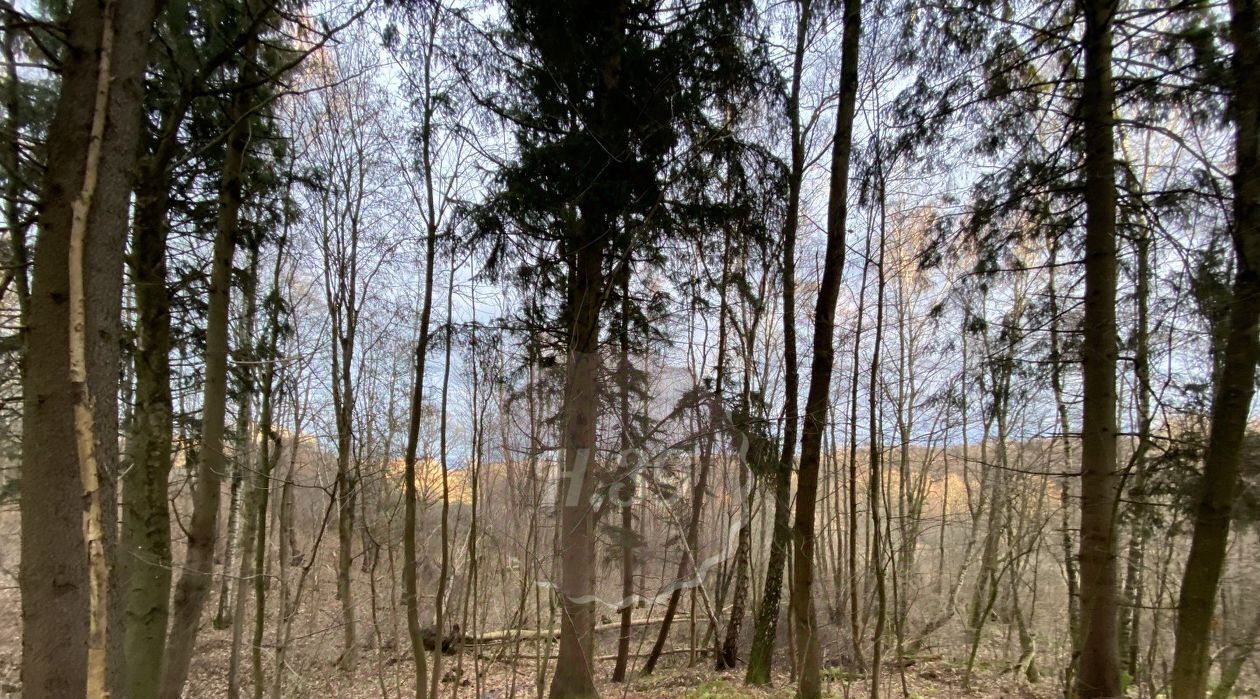 земля р-н Зеленоградский п Романово Зеленоградский муниципальный округ фото 1