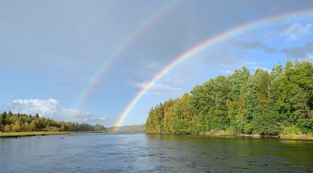 дом р-н Беломорский с Сумский Посад 144, Беломорский муниципальный округ фото 10