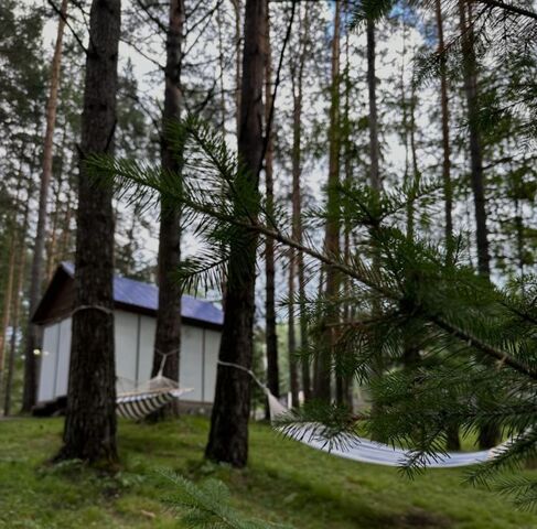 г Дивногорск п Усть-Мана ул Комсомольская 163д фото