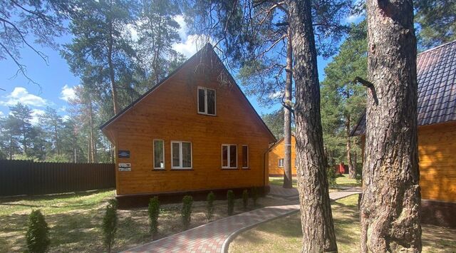 Ладога тер., ул. Сосновая, 12Ж фото