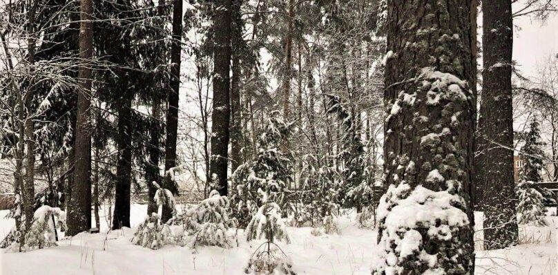 дом р-н Селижаровский д Ланино ул Береговая 58а фото 43