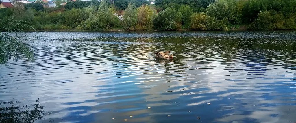 дом р-н Белорецкий г Белорецк ул Нахимова 17 фото 1
