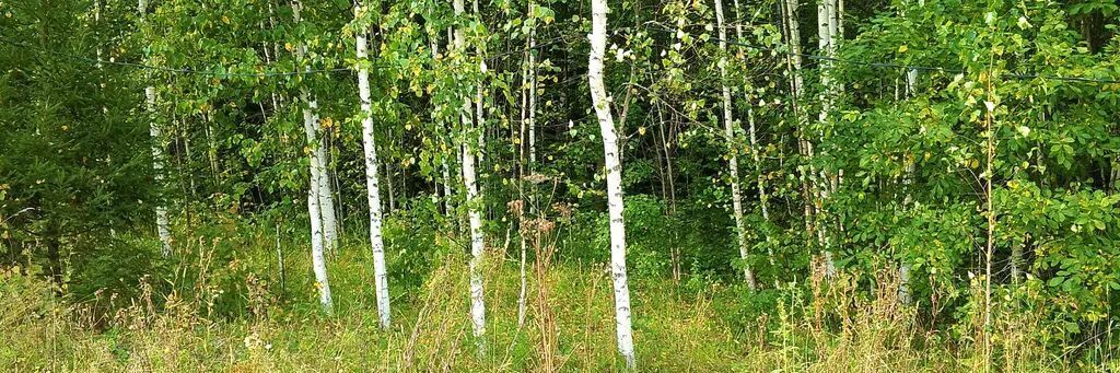 дом г Краснокамск Звездный кв-л, проезд Лунный, 9 фото 8