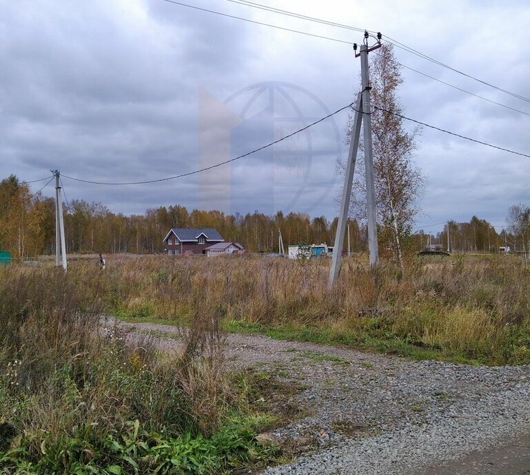 земля р-н Новосибирский п Двуречье ТСН Светлое фото 10