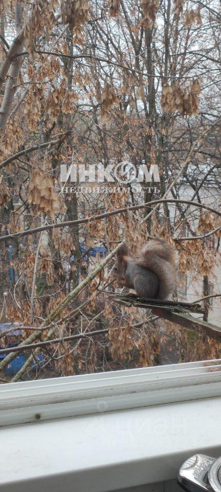 квартира г Москва ЗАО Фили-Давыдково ул Большая Филёвская 45/2 Московская область фото 11