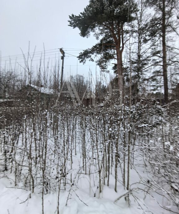 земля городской округ Пушкинский с Софрино 76 фото 8