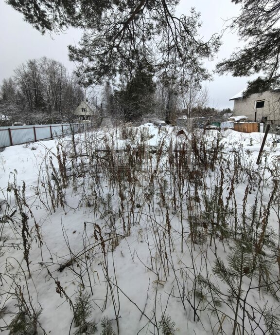 земля городской округ Пушкинский с Софрино 76 фото 12