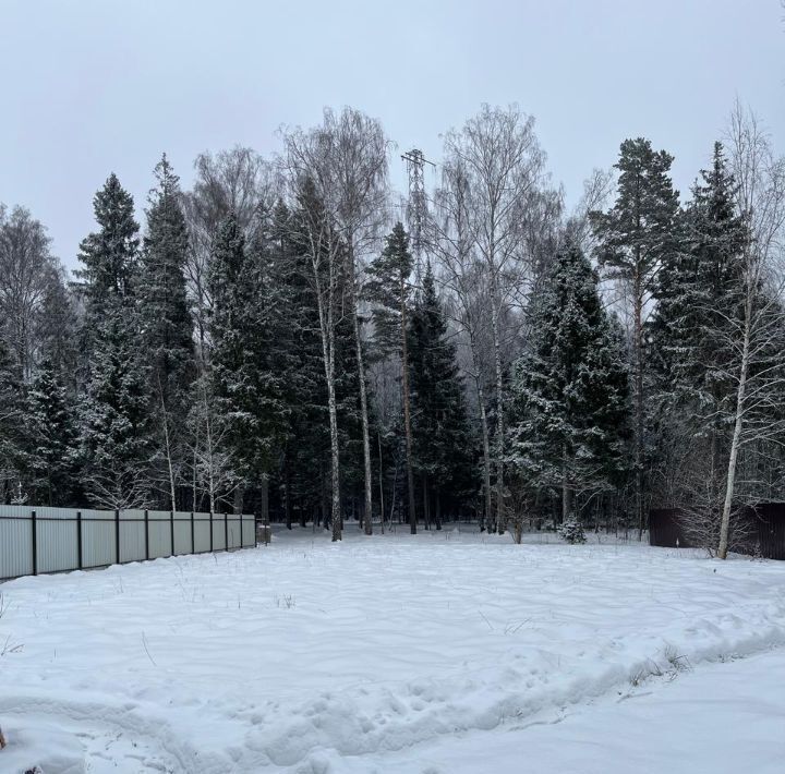 земля городской округ Пушкинский п Лесной снт Лесное фото 1