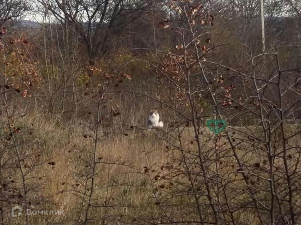 земля г Геленджик муниципальное образование Геленджик, Хутор, микрорайон Казачий фото 2