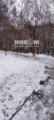 Московская область фото