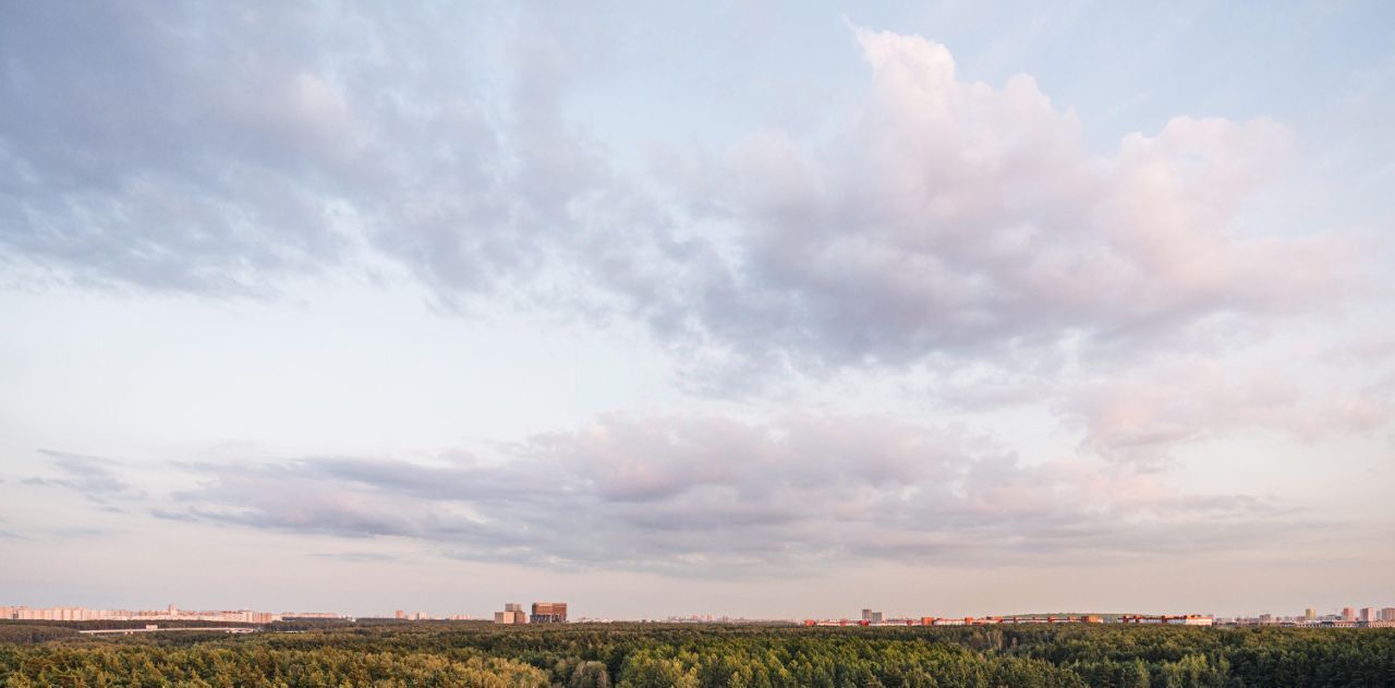 квартира г Москва метро Говорово № 3 кв-л, Движение. Говорово жилой комплекс, к 2 фото 28