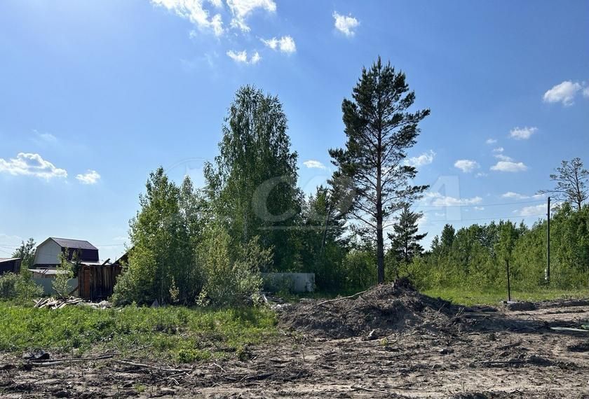 земля р-н Нижнетавдинский снт Здоровье-3 Тюмень фото 4