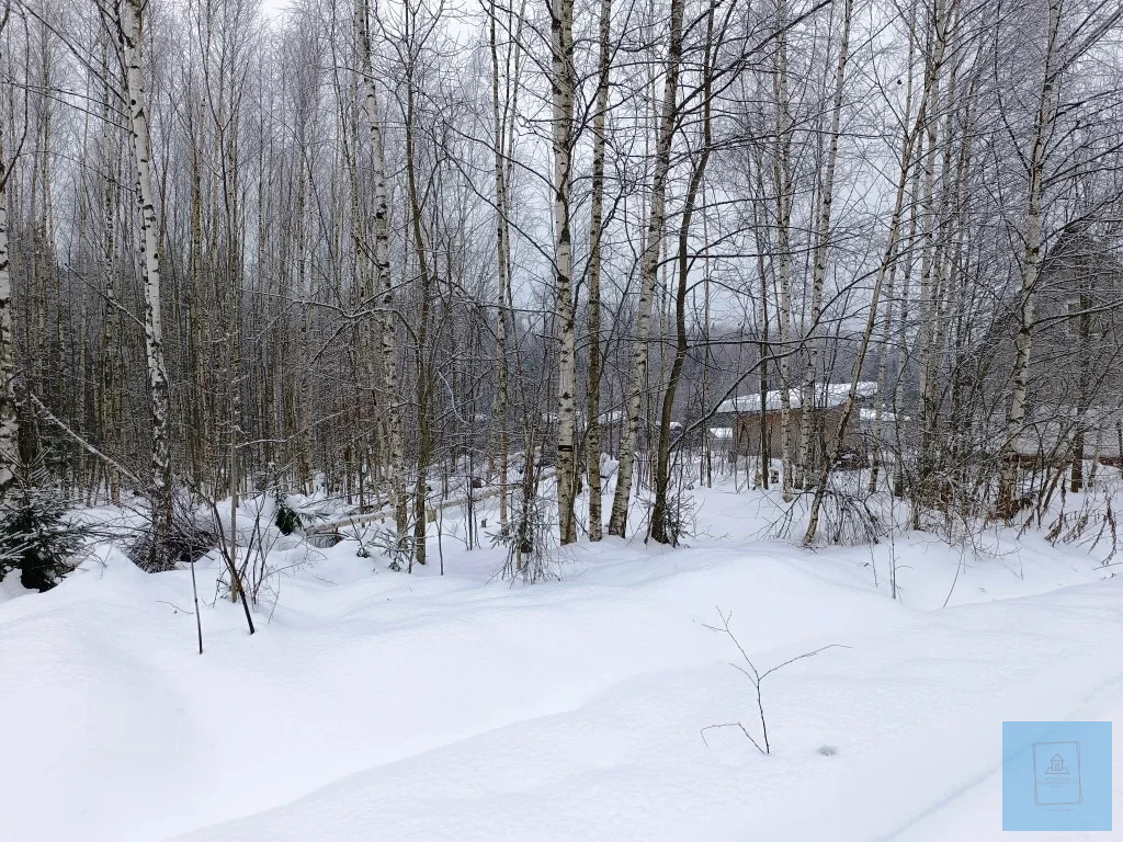 земля городской округ Солнечногорск д Шапкино СНТ Звездочка, Ленинградское фото 7