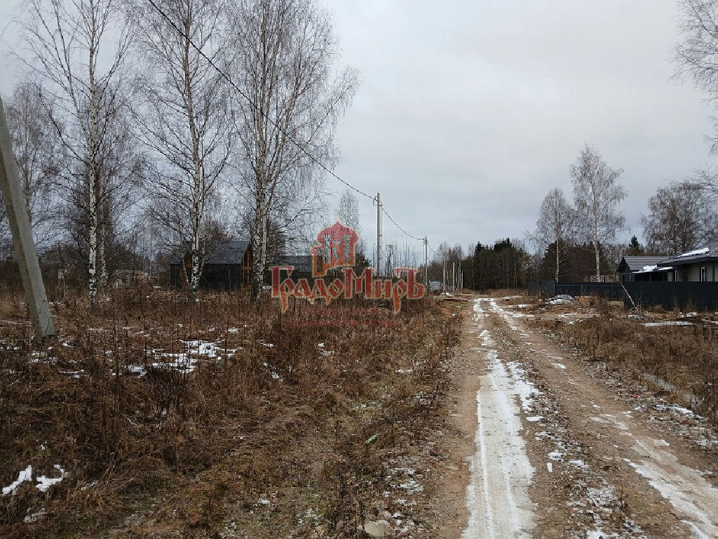 земля городской округ Талдомский д Зятьково фото 1