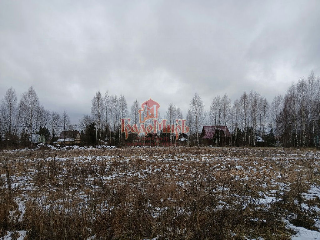 земля городской округ Талдомский д Зятьково фото 3