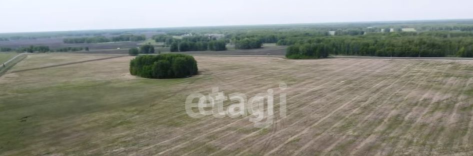 земля р-н Омский с Петровка ул Школьная 10 фото 3