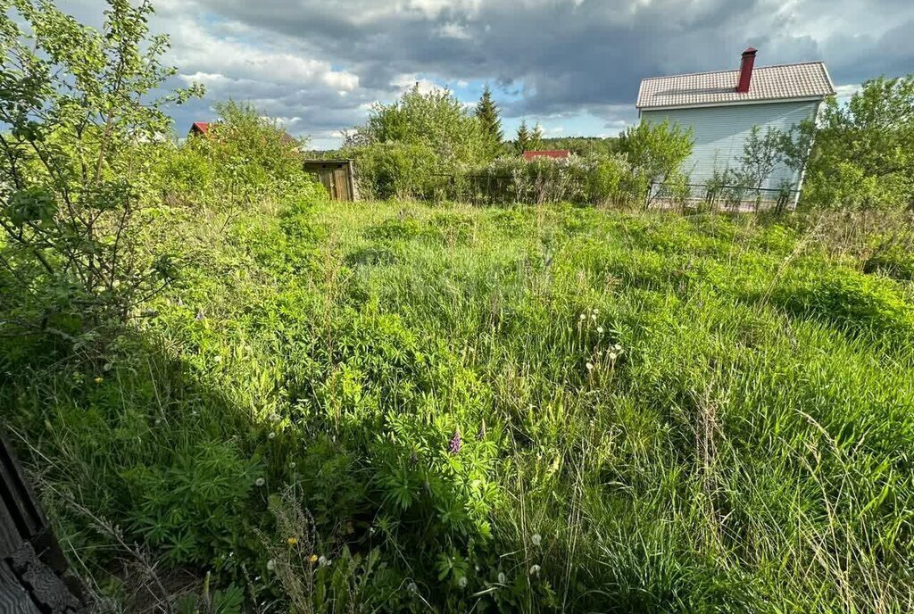 земля городской округ Солнечногорск д Шемякино Подрезково, 9, городской округ Химки фото 4