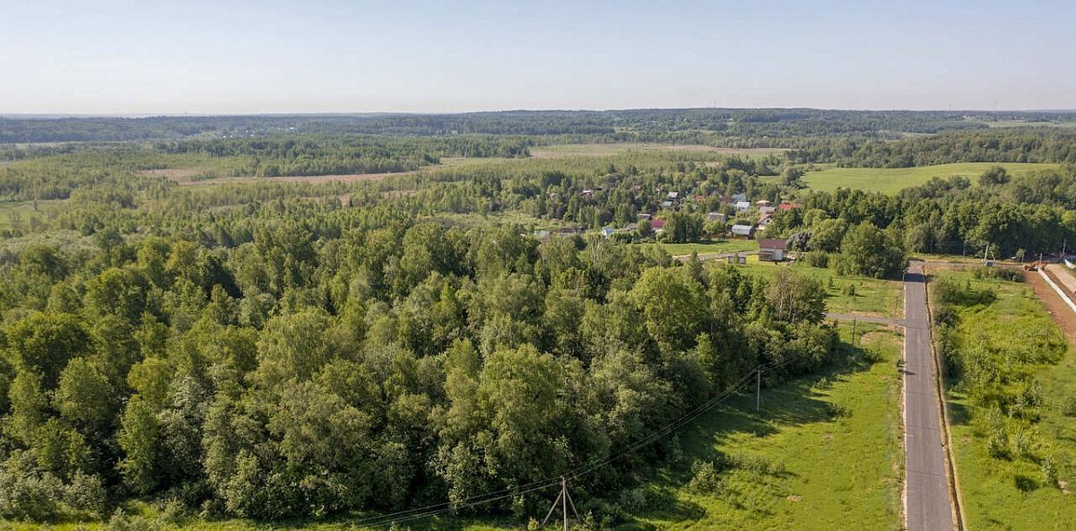 земля городской округ Истра д Куртниково фото 6