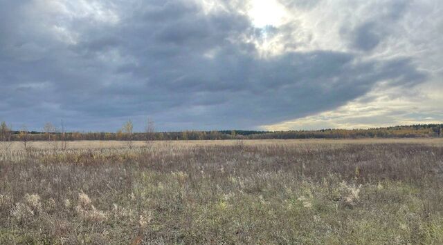 офис Имени Цюрупы городское поселение фото