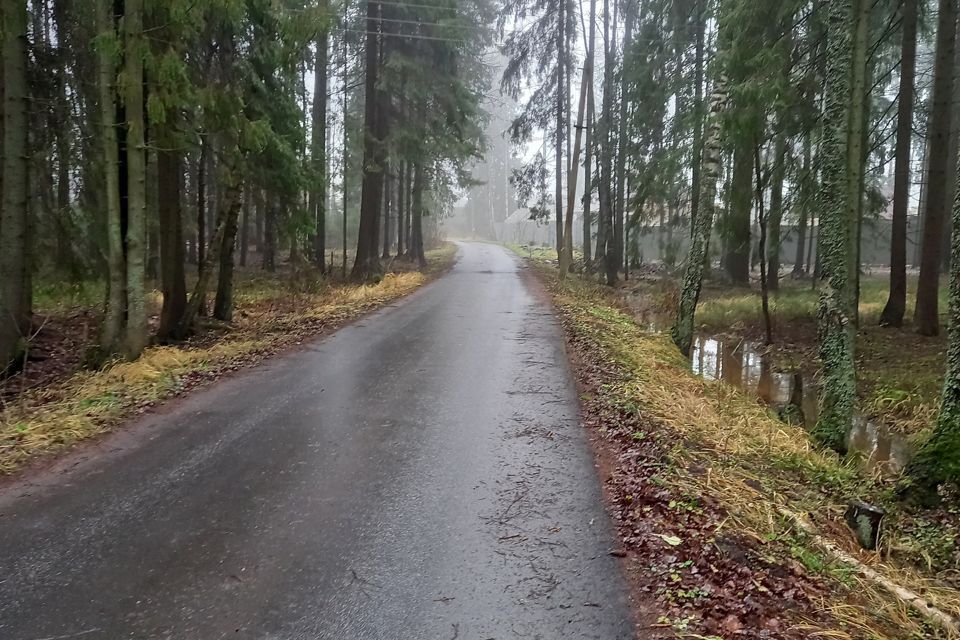 земля р-н Лужский п Толмачево ул Парк фото 1