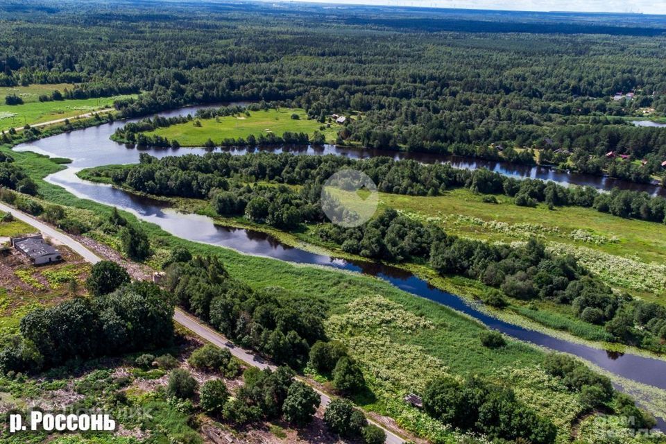 земля р-н Кингисеппский д. Калливере фото 3