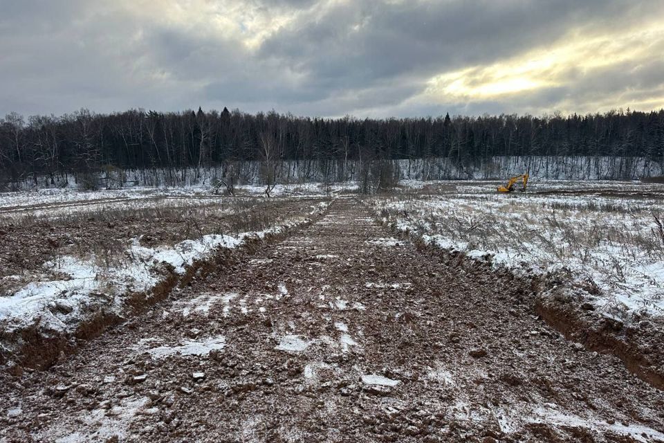 земля городской округ Подольск д. Пузиково фото 2